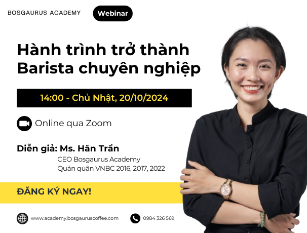 Webinar 2010 - Product Image on Website